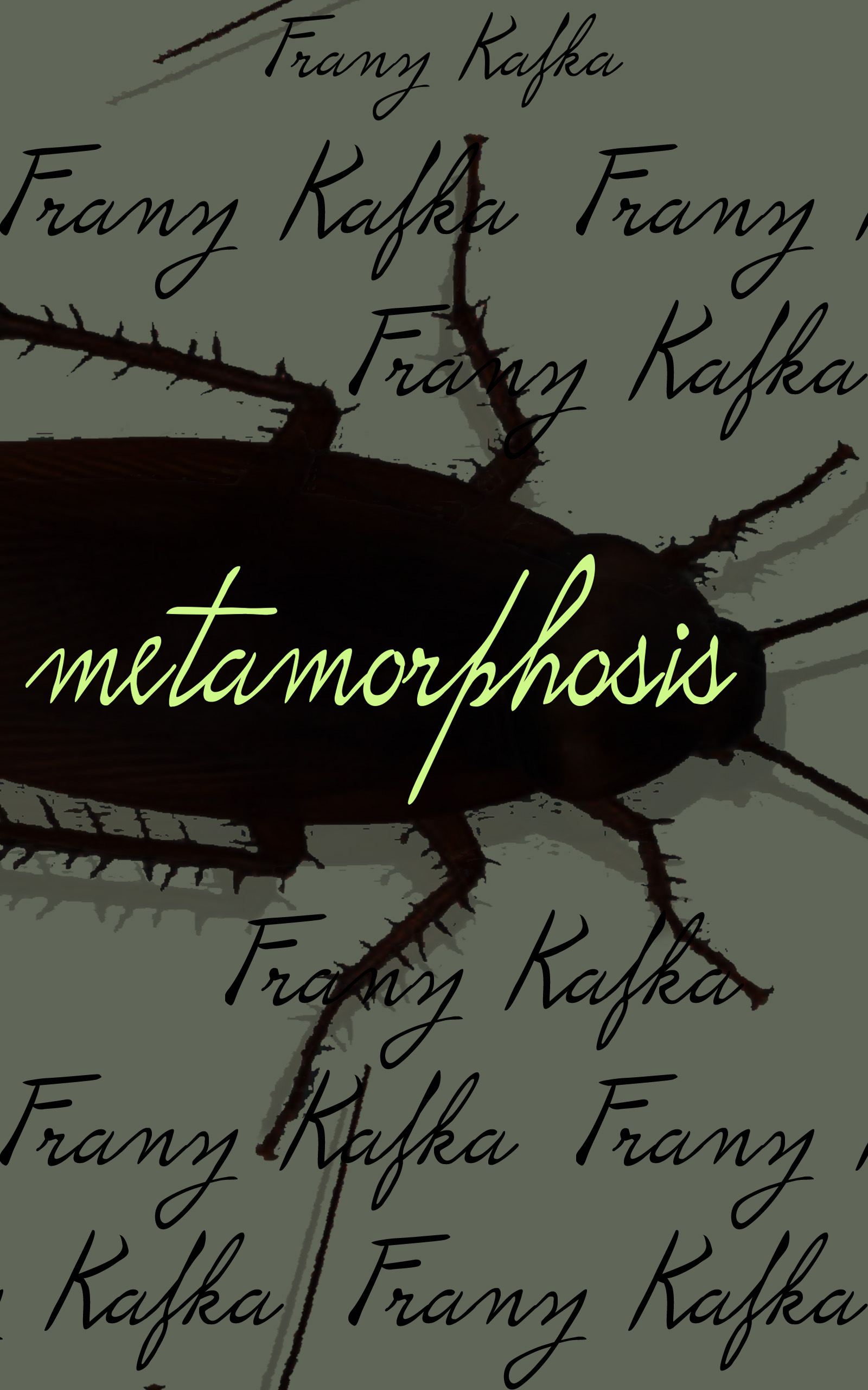 metamorphosis cover copy